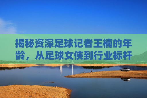 揭秘资深足球记者王楠的年龄,从足球女侠到行业标杆