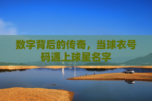 数字背后的传奇,当球衣号码遇上球星名字