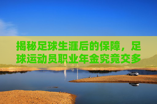 揭秘足球生涯后的保障,足球运动员职业年金究竟交多少?