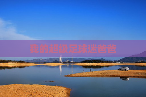 我的超级足球迷爸爸