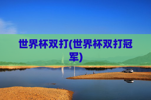 世界杯双打(世界杯双打冠军)
