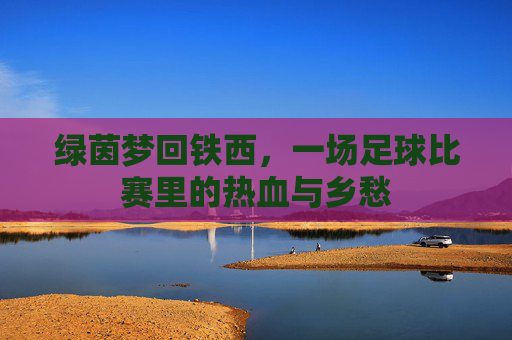 绿茵梦回铁西,一场足球比赛里的热血与乡愁