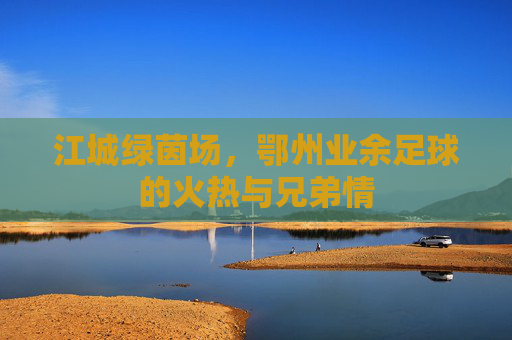 江城绿茵场,鄂州业余足球的火热与兄弟情