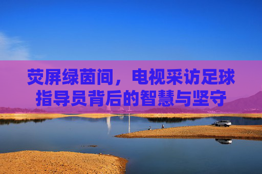 荧屏绿茵间,电视采访足球指导员背后的智慧与坚守