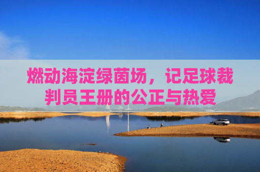 燃动海淀绿茵场,记足球裁判员王册的公正与热爱