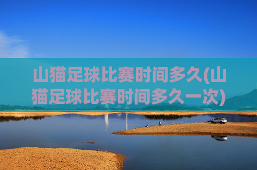 山猫足球比赛时间多久(山猫足球比赛时间多久一次)
