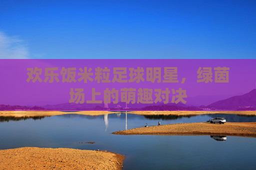 欢乐饭米粒足球明星,绿茵场上的萌趣对决