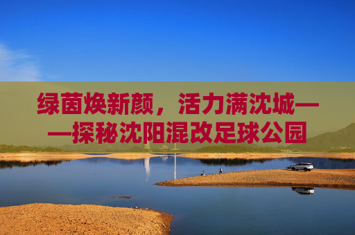 绿茵焕新颜,活力满沈城——探秘沈阳混改足球公园
