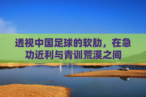 透视中国足球的软肋,在急功近利与青训荒漠之间