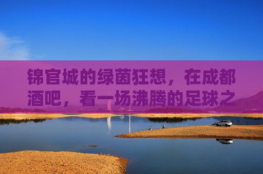 锦官城的绿茵狂想,在成都酒吧,看一场沸腾的足球之夜