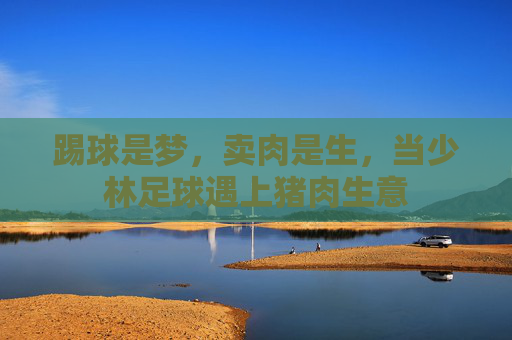 踢球是梦,卖肉是生,当少林足球遇上猪肉生意
