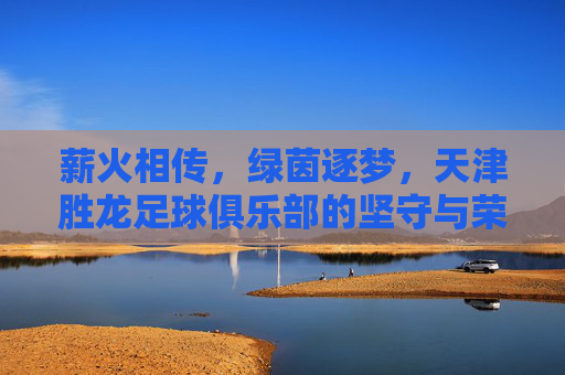 薪火相传,绿茵逐梦,天津胜龙足球俱乐部的坚守与荣耀