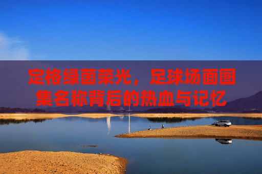 定格绿茵荣光,足球场面图集名称背后的热血与记忆
