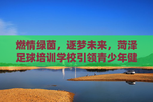 燃情绿茵,逐梦未来,菏泽足球培训学校引领青少年健康成长