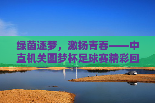 绿茵逐梦，激扬青春——中直机关圆梦杯足球赛精彩回顾
