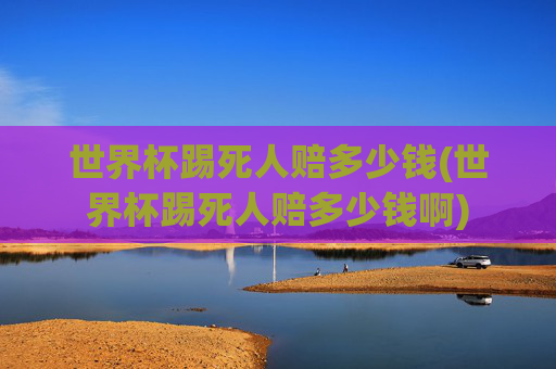 世界杯踢死人赔多少钱(世界杯踢死人赔多少钱啊)