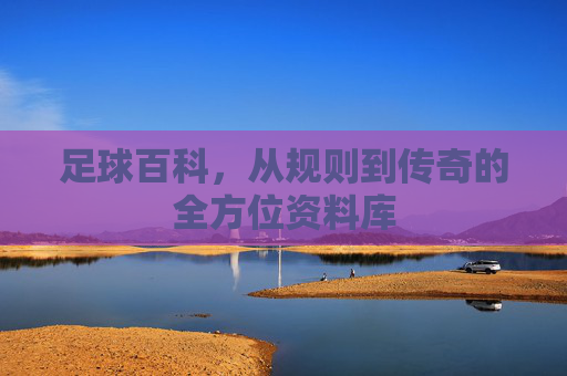 足球百科,从规则到传奇的全方位资料库