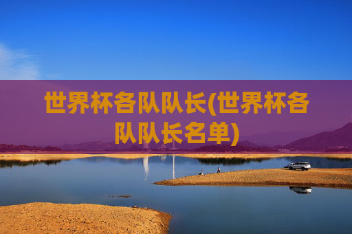 世界杯各队队长(世界杯各队队长名单)