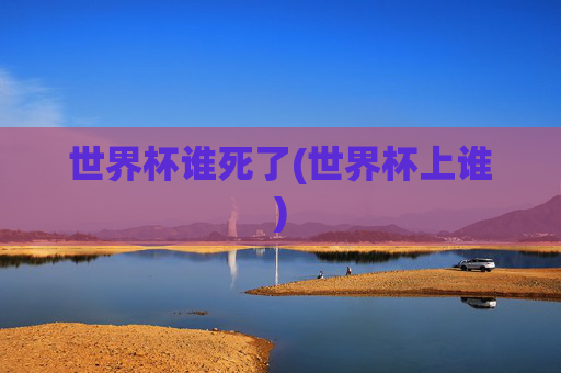世界杯谁死了(世界杯上谁)