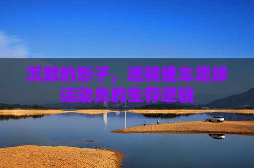沉默的影子,透视便车足球运动员的生存逻辑