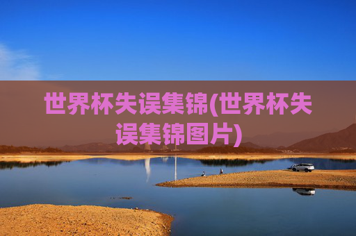世界杯失误集锦(世界杯失误集锦图片)