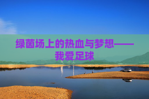 绿茵场上的热血与梦想——我爱足球