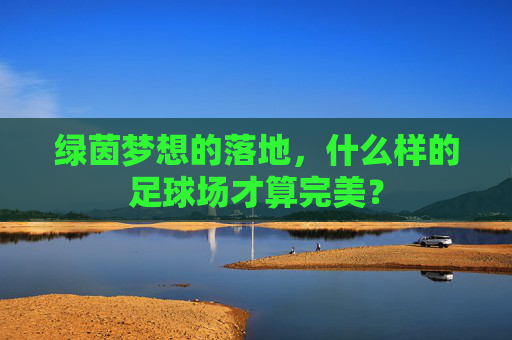 绿茵梦想的落地,什么样的足球场才算完美?