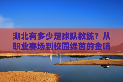 湖北有多少足球队教练?从职业赛场到校园绿茵的金哨数量探秘
