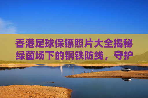 香港足球保镖照片大全揭秘绿茵场下的钢铁防线,守护巨星的硬汉风采