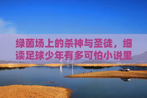 绿茵场上的杀神与圣徒,细读足球少年有多可怕小说里的热血青春