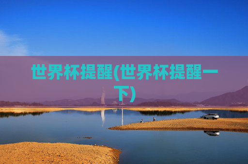 世界杯提醒(世界杯提醒一下)
