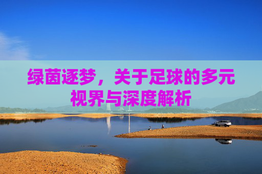 绿茵逐梦,关于足球的多元视界与深度解析