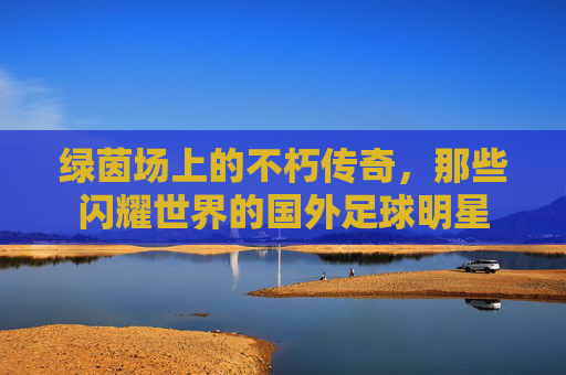 绿茵场上的不朽传奇,那些闪耀世界的国外足球明星