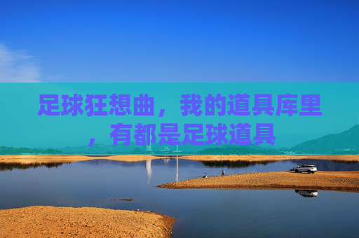 足球狂想曲,我的道具库里,有都是足球道具