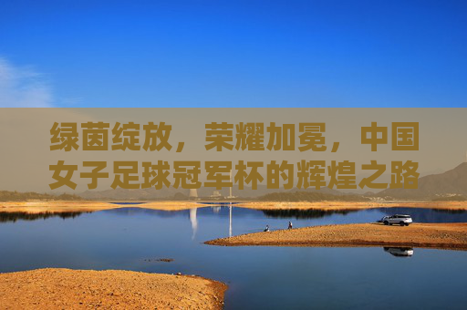 绿茵绽放,荣耀加冕,中国女子足球冠军杯的辉煌之路