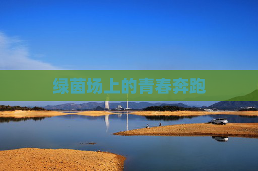 绿茵场上的青春奔跑