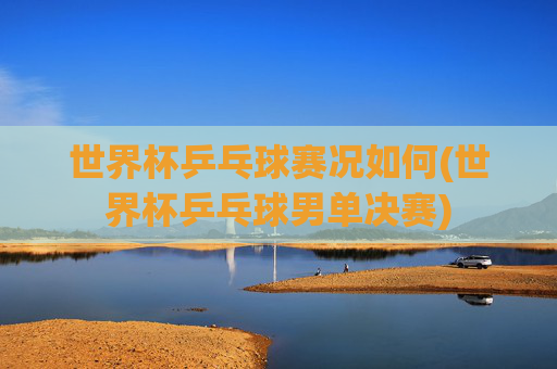 世界杯乒乓球赛况如何(世界杯乒乓球男单决赛)