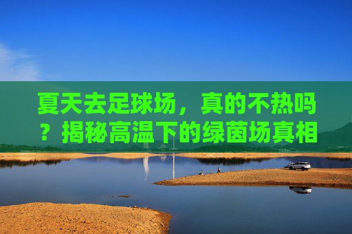 夏天去足球场,真的不热吗?揭秘高温下的绿茵场真相