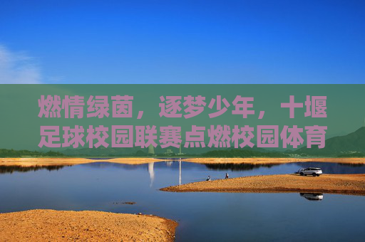 燃情绿茵,逐梦少年,十堰足球校园联赛点燃校园体育激情
