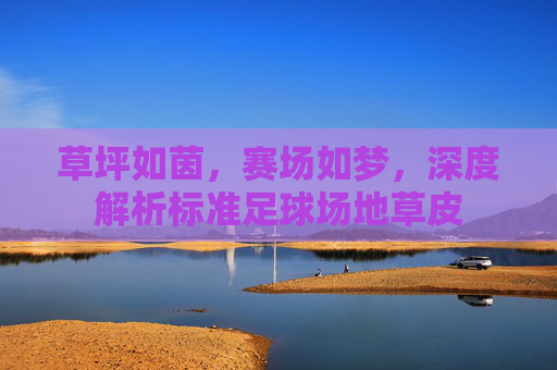 草坪如茵,赛场如梦,深度解析标准足球场地草皮