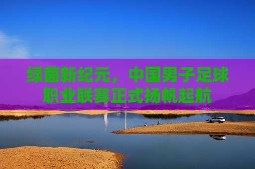 绿茵新纪元,中国男子足球职业联赛正式扬帆起航