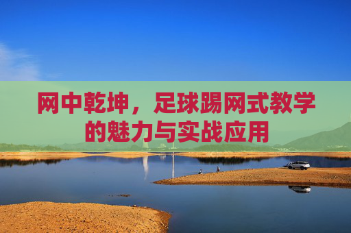 网中乾坤,足球踢网式教学的魅力与实战应用
