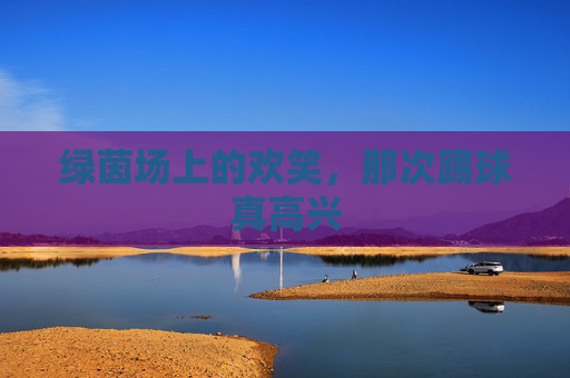 绿茵场上的欢笑,那次踢球真高兴