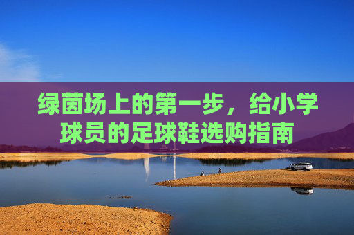 绿茵场上的第一步,给小学球员的足球鞋选购指南