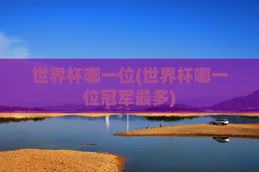 世界杯哪一位(世界杯哪一位冠军最多)