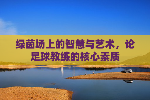 绿茵场上的智慧与艺术,论足球教练的核心素质