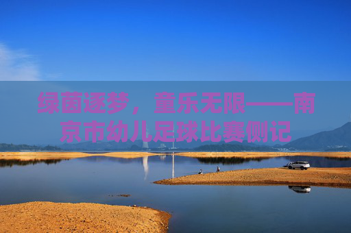 绿茵逐梦,童乐无限——南京市幼儿足球比赛侧记