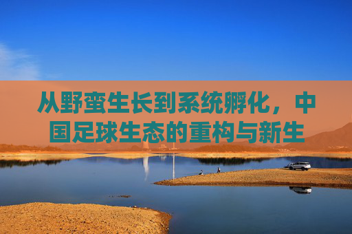 从野蛮生长到系统孵化，中国足球生态的重构与新生
