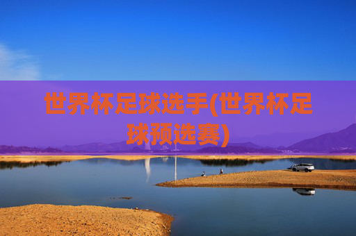 世界杯足球选手(世界杯足球预选赛)