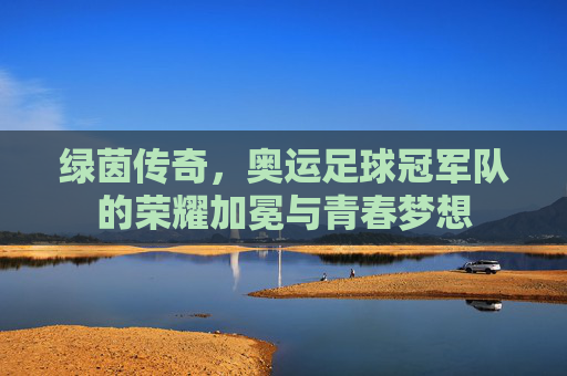 绿茵传奇,奥运足球冠军队的荣耀加冕与青春梦想